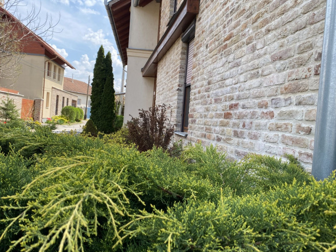 Almafa Apartman Gyula - 5