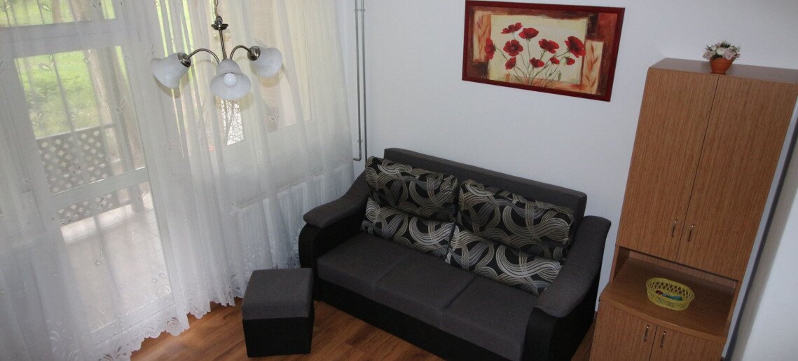 Borka Apartman Gyula - 9