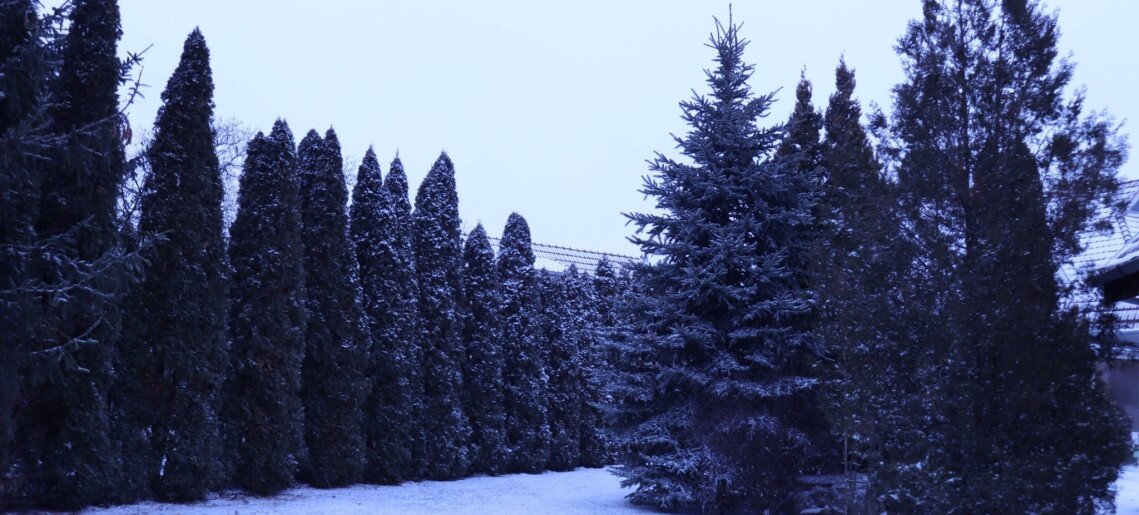 Anna Apartman Gyula - 29