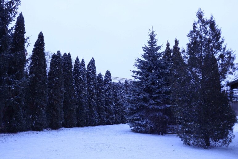 Anna Apartman Gyula - 29