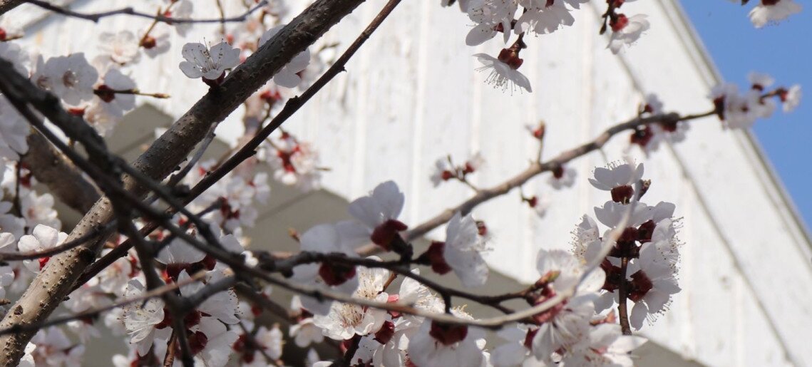 Anna Apartman Gyula - 20