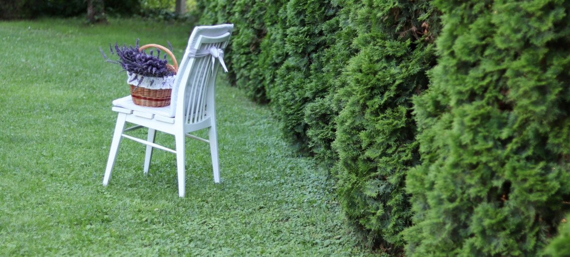 Anna Apartman Gyula - 21