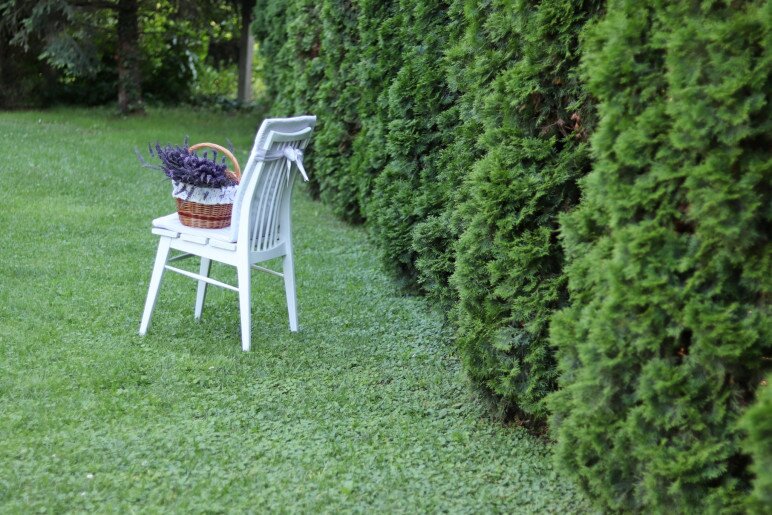 Anna Apartman Gyula - 21