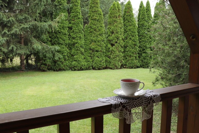 Anna Apartman Gyula - 19