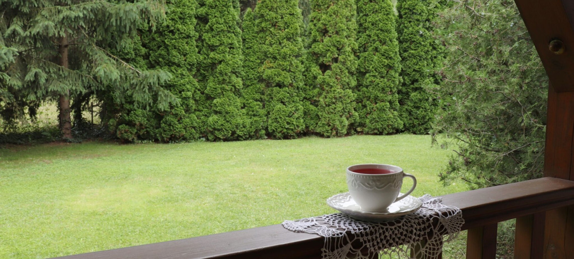 Anna Apartman Gyula - 19