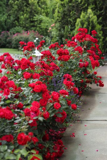 Anna Apartman Gyula - 5