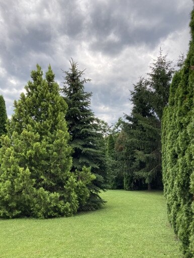 Anna Apartman Gyula - 3