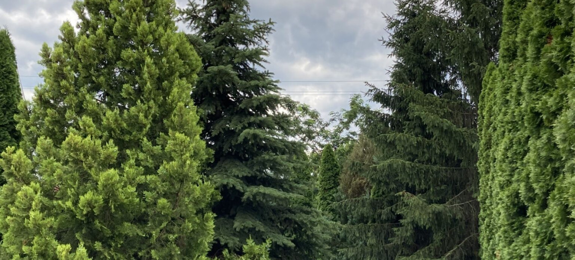 Anna Apartman Gyula - 3