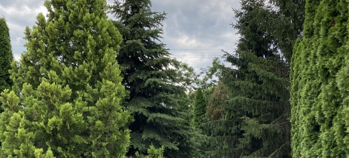 Anna Apartman Gyula - 3