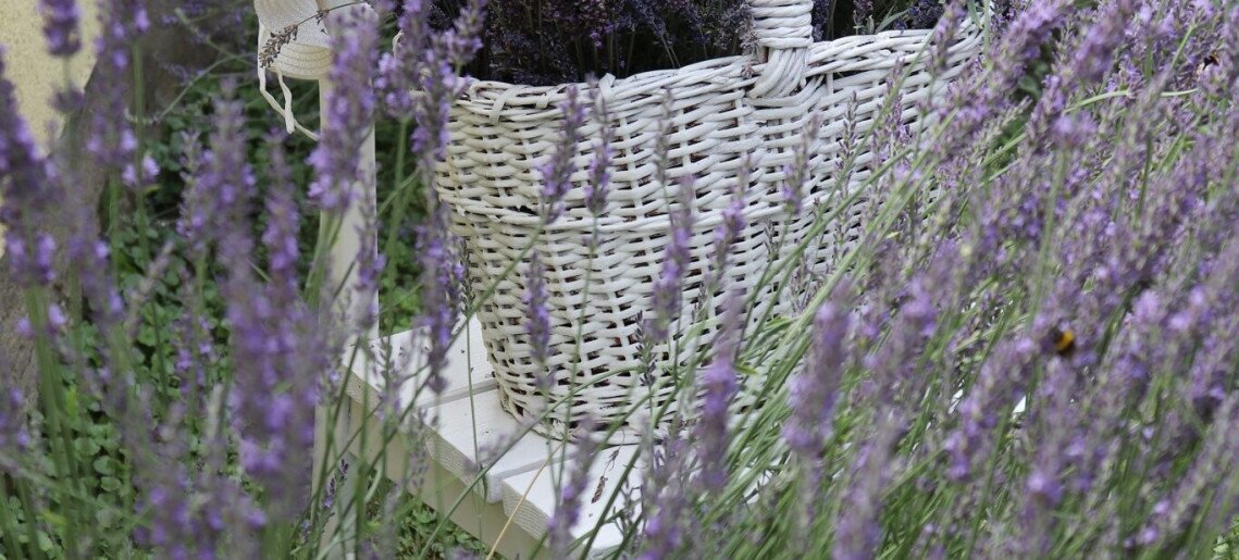 Anna Apartman Gyula - 11