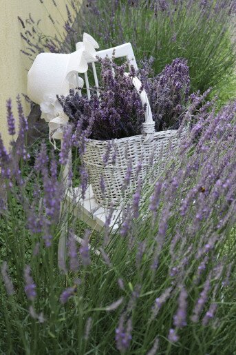 Anna Apartman Gyula - 11