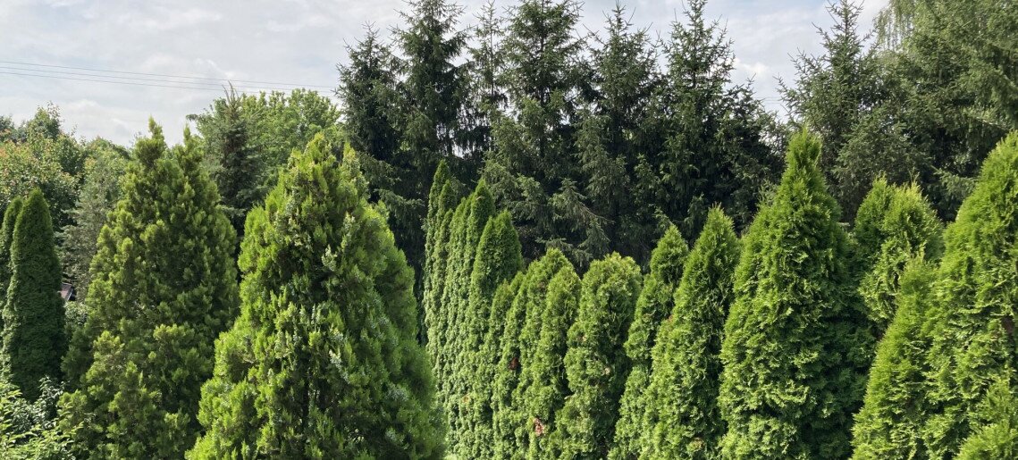 Anna Apartman Gyula - 16