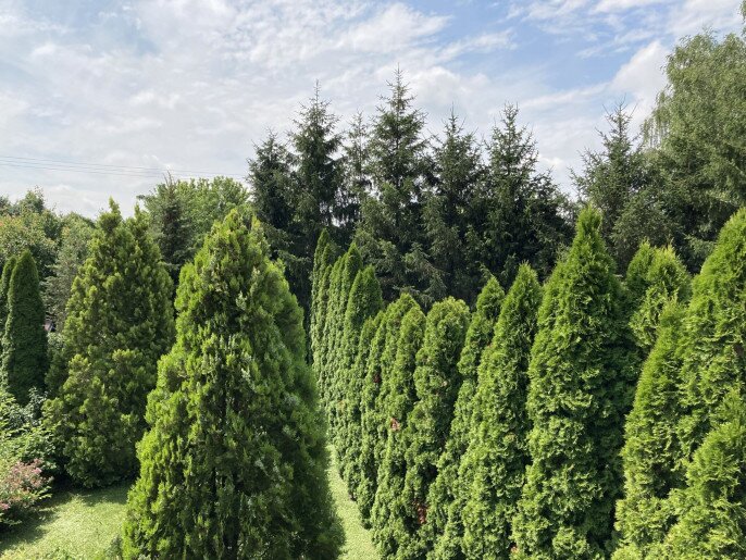 Anna Apartman Gyula - 16