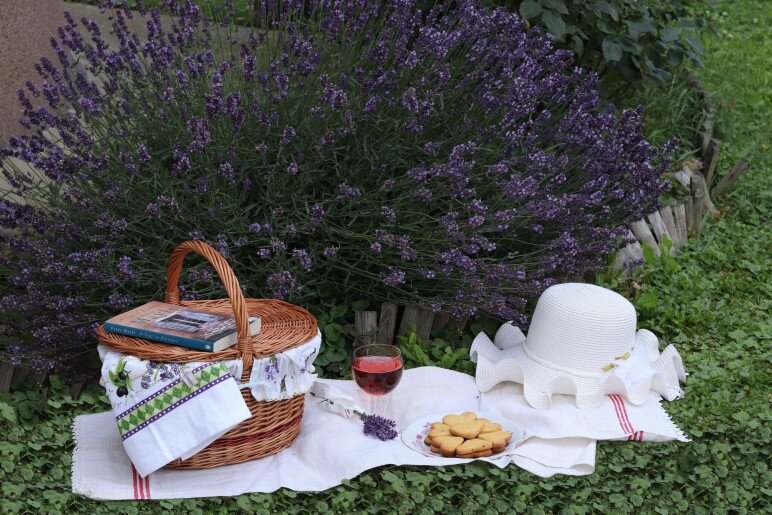 Anna Apartman Gyula - 10