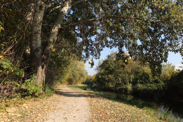 Anna Apartman Gyula - 31