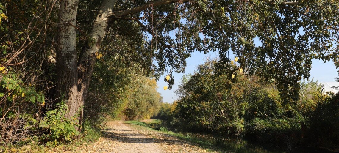 Anna Apartman Gyula - 31