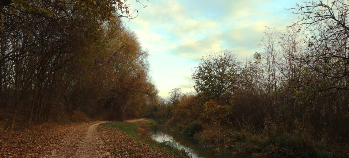 Anna Apartman Gyula - 32