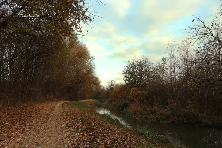 Anna Apartman Gyula - 32