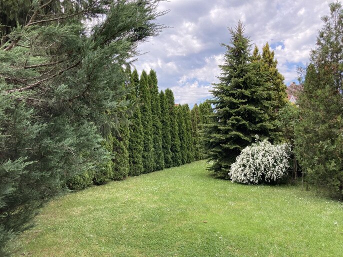 Anna Apartman Gyula - 18