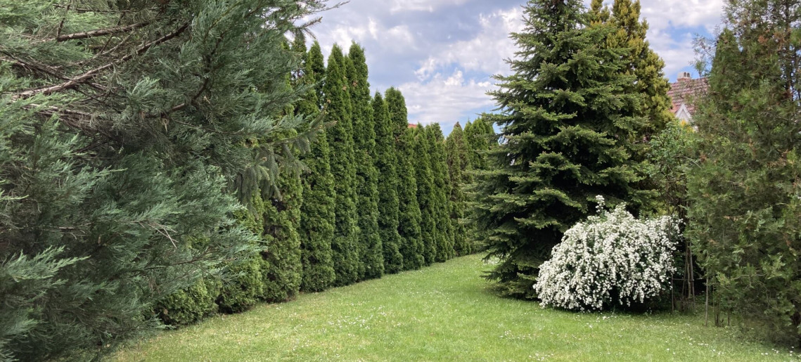 Anna Apartman Gyula - 18