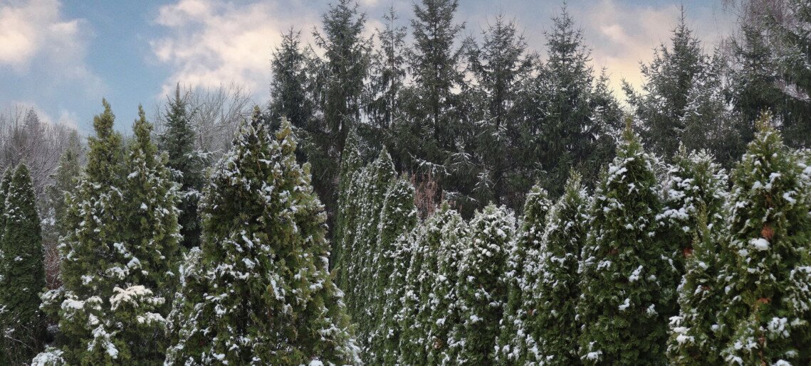 Anna Apartman Gyula - 17