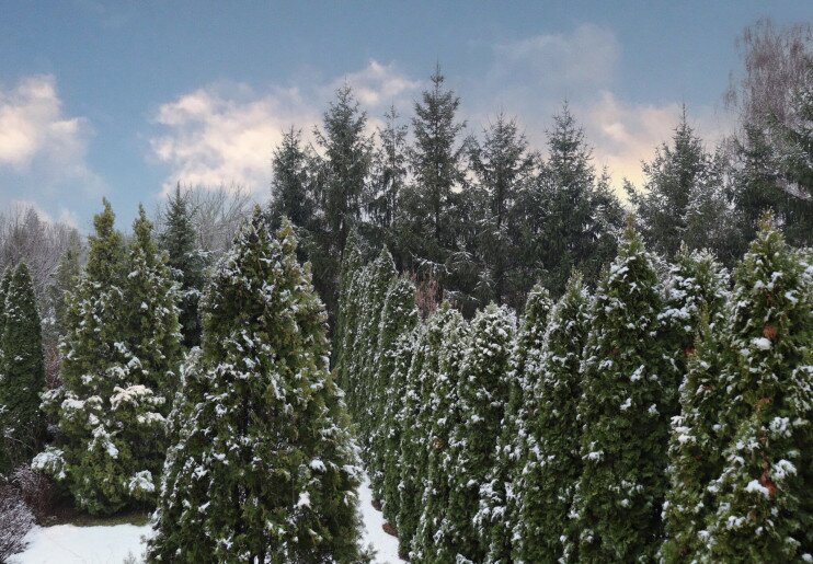 Anna Apartman Gyula - 17