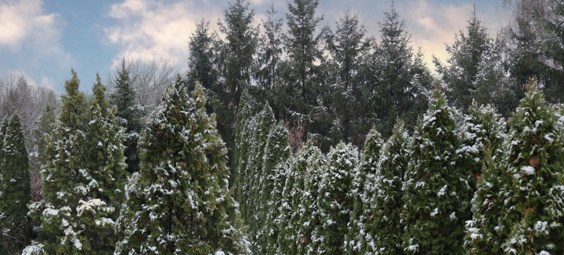 Anna Apartman Gyula - 17