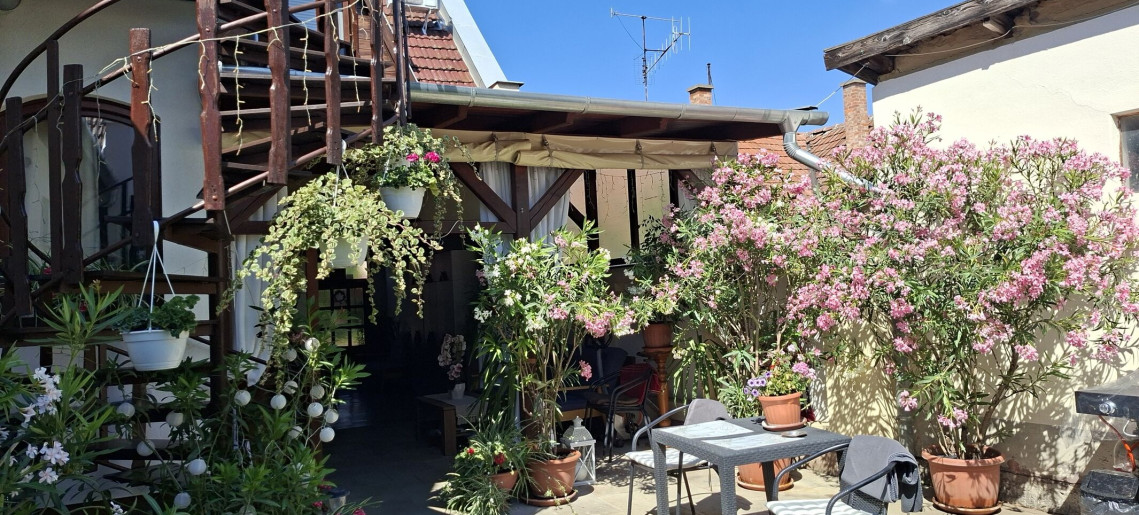 Aranka Apartman Gyula - 5