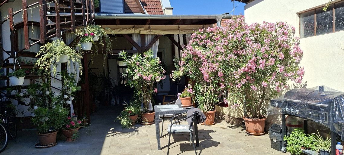 Aranka Apartman Gyula - 7
