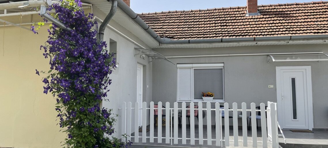 Szín-Ház Apartman Gyula - 9