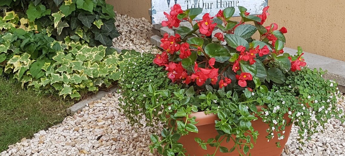 Gellény Lux Apartman Gyula - 10