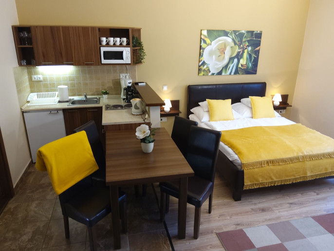 Gellény Lux Apartman Gyula - 13