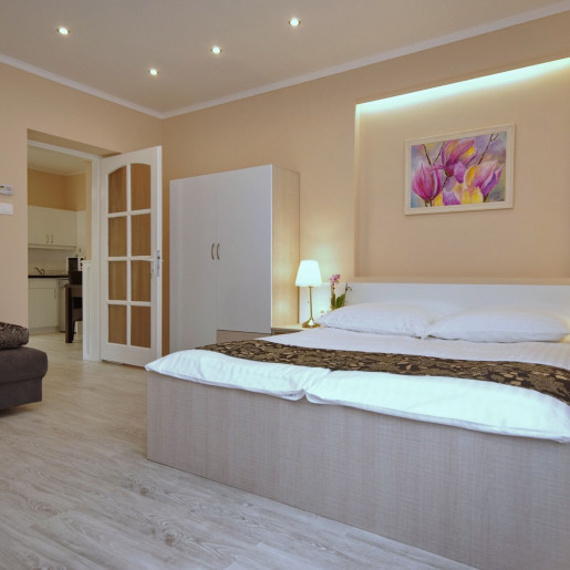 Trend Deluxe Apartman Gyula - 1