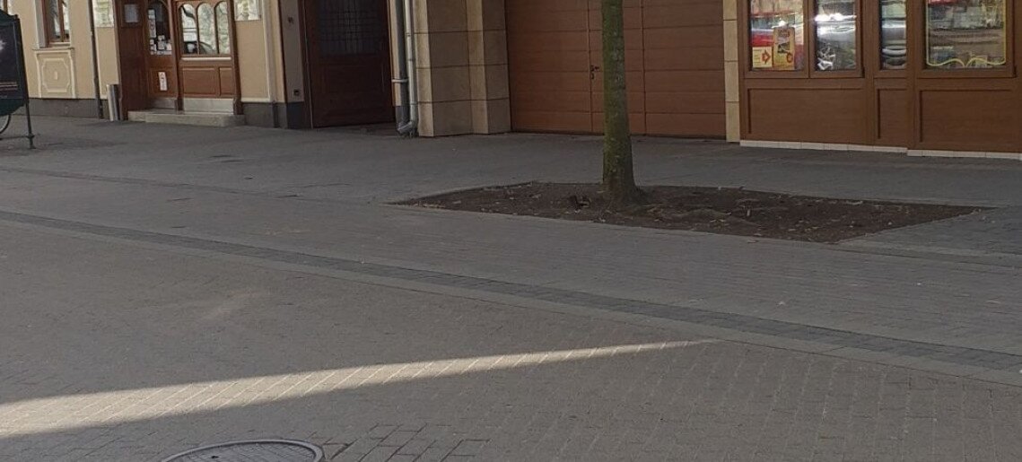 Mediterrán Szállás Gyula - 5