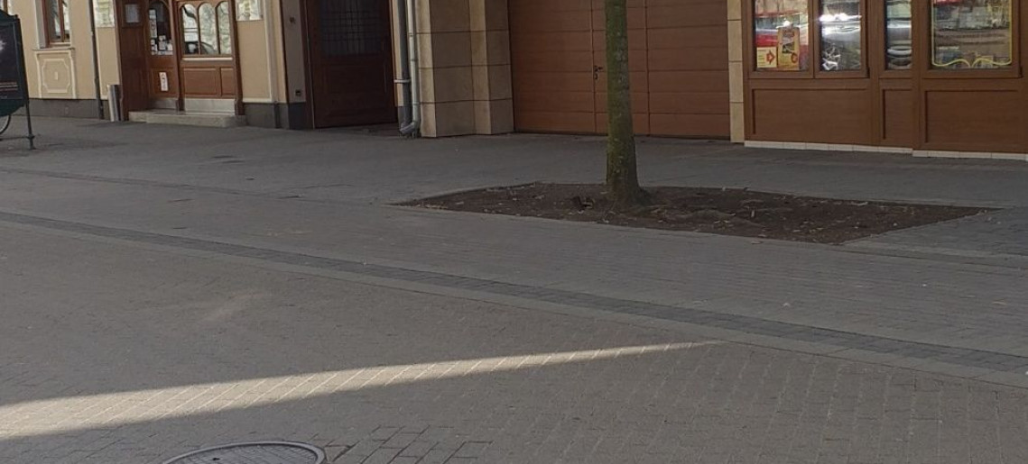 Mediterrán Szállás Gyula - 5