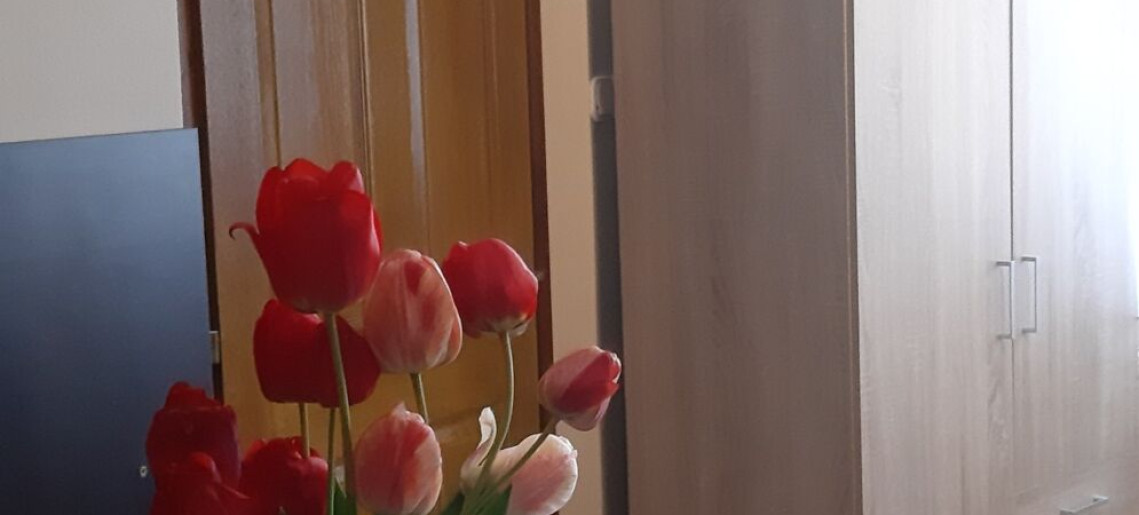 Flóra Apartman Gyula - 5