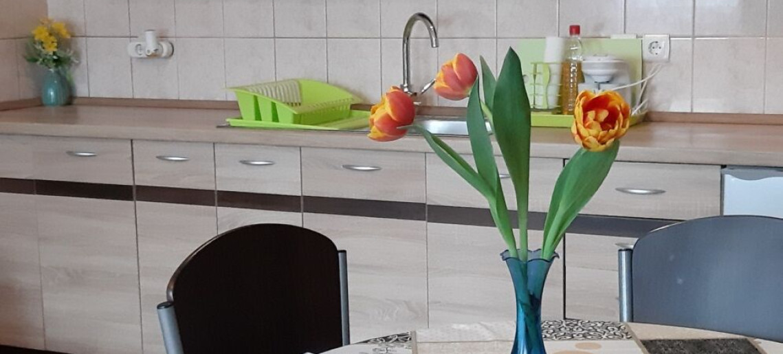 Flóra Apartman Gyula - 9