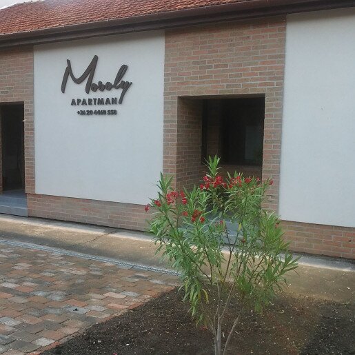 Mosoly Deluxe Apartman Gyula - 12