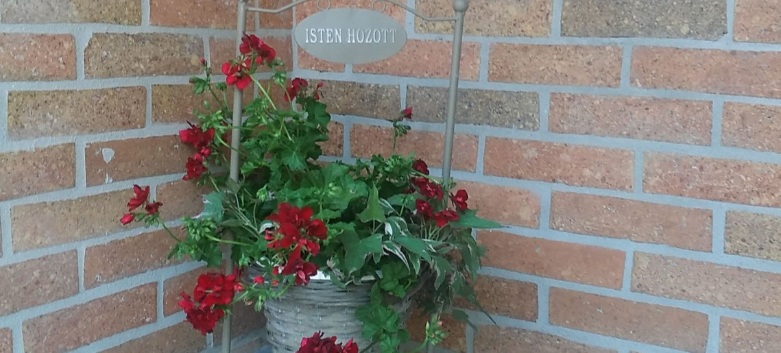 Mosoly Deluxe Apartman Gyula - 13