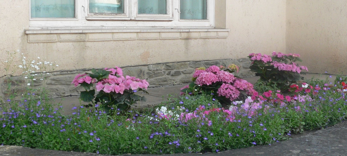 Márk Apartman Gyula - 3