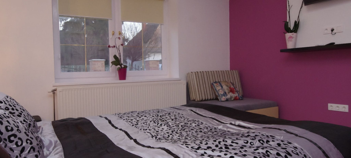 Regina Delux Apartman Gyula - 6