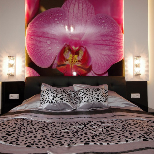 Regina Delux Apartman Gyula - 8