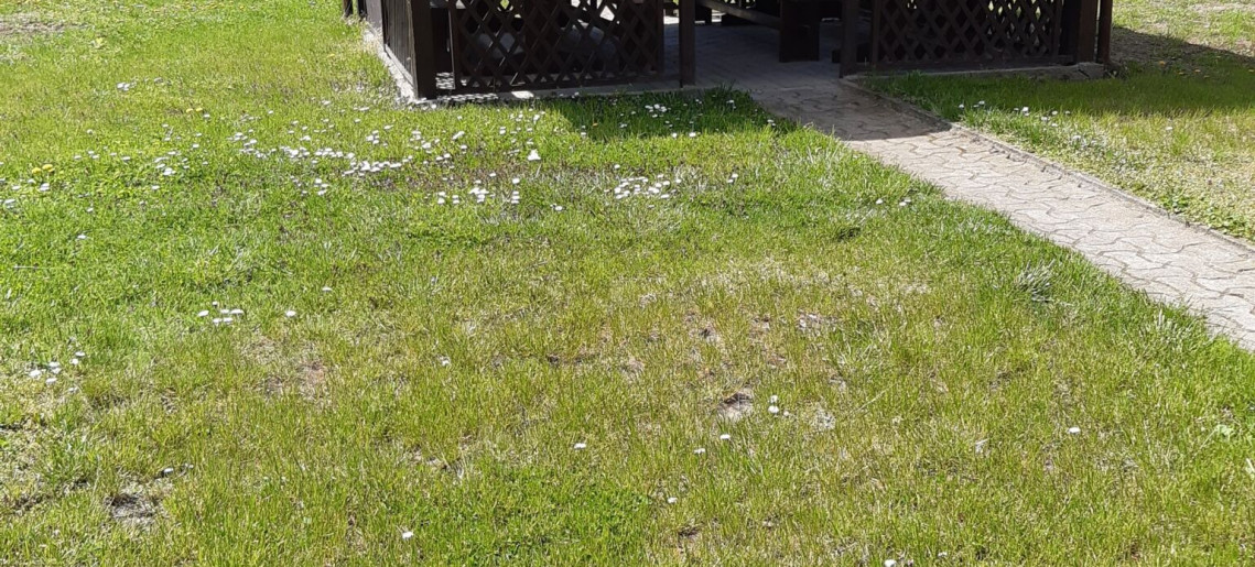 Nárcisz Apartman Gyula - 12