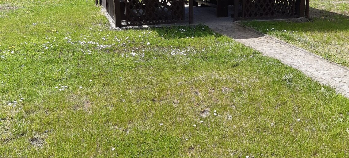 Nárcisz Apartman Gyula - 11
