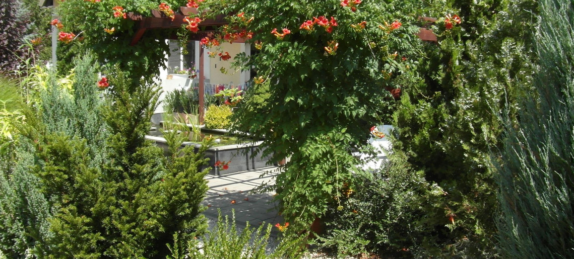 Garden Room Apartman Gyula - 2