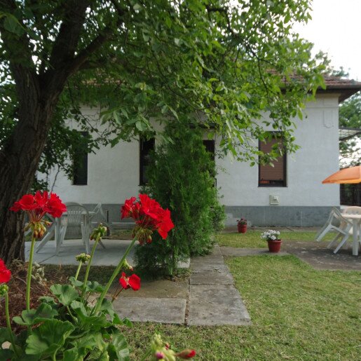 Ezüstfenyő Apartman Gyula - 3