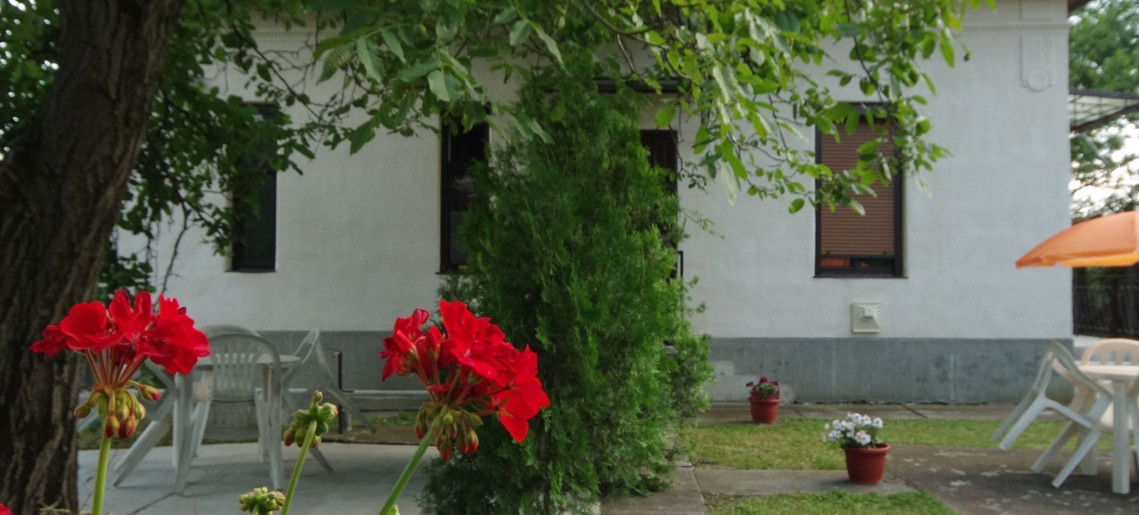 Ezüstfenyő Apartman Gyula - 3