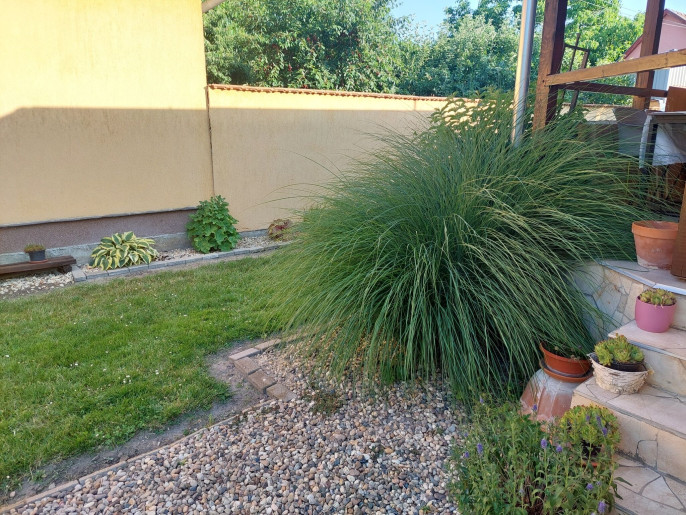 Bodza Apartman Gyula - 10