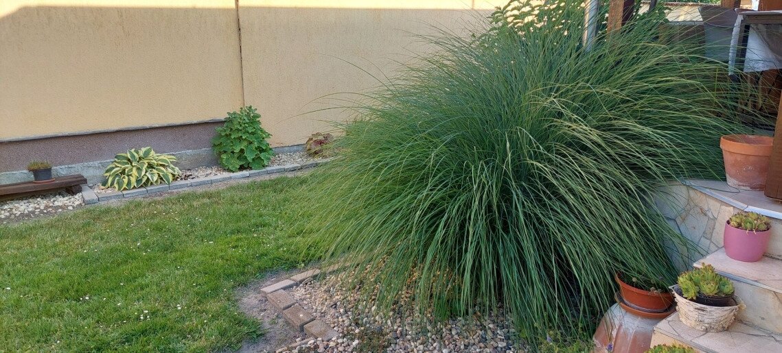 Bodza Apartman Gyula - 10