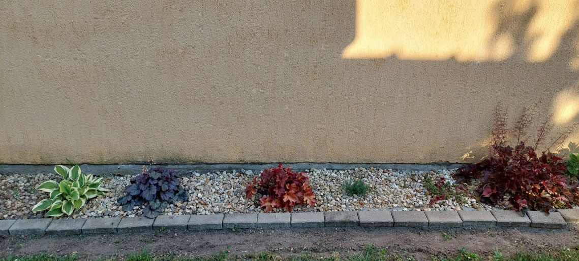 Bodza Apartman Gyula - 12